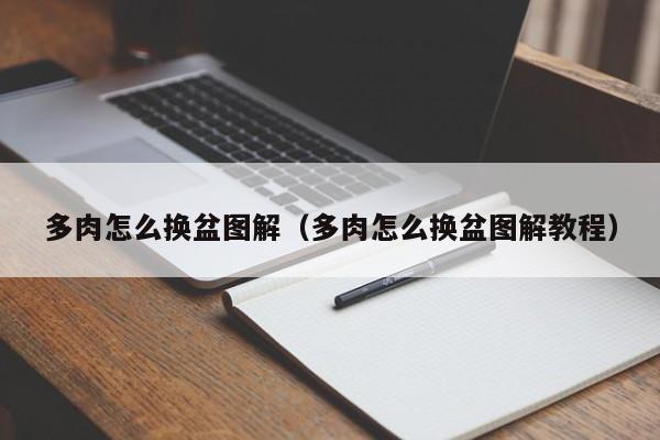 多肉怎么换盆图解（多肉怎么换盆图解教程） 